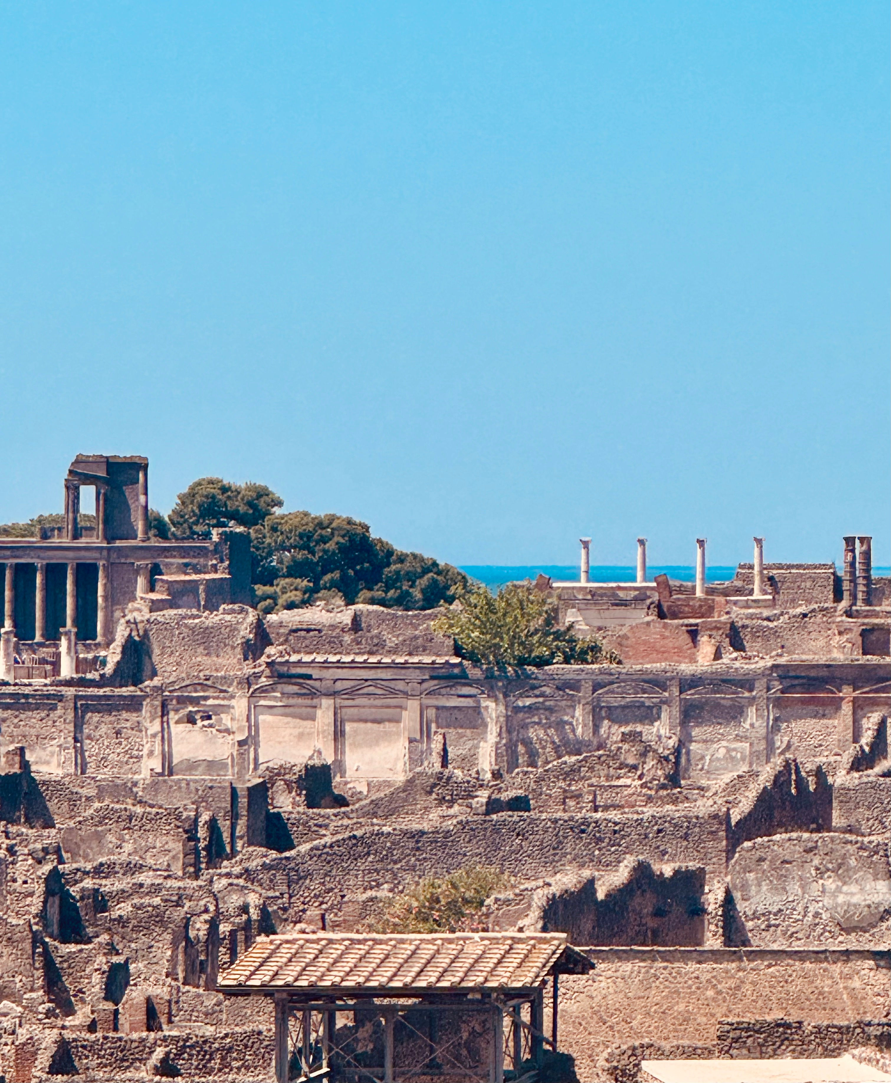 Pompei: un viaggio approfondito nella storia - 3 ore