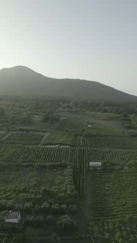 Pompei & Vesuvio: Storia di un'eruzione - Full day