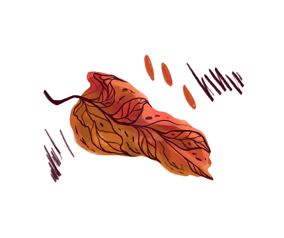 Red Leaf Doodle 1.png