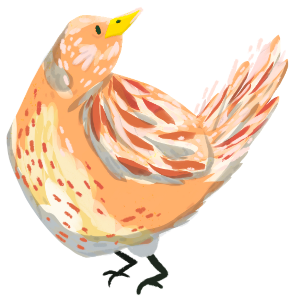 Bird.png