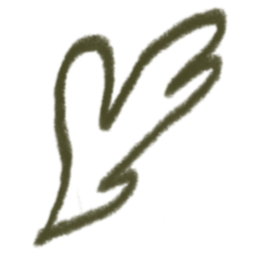 Brand Design Project Proposal Campbell School Of Highland Dance_edited_edited.png