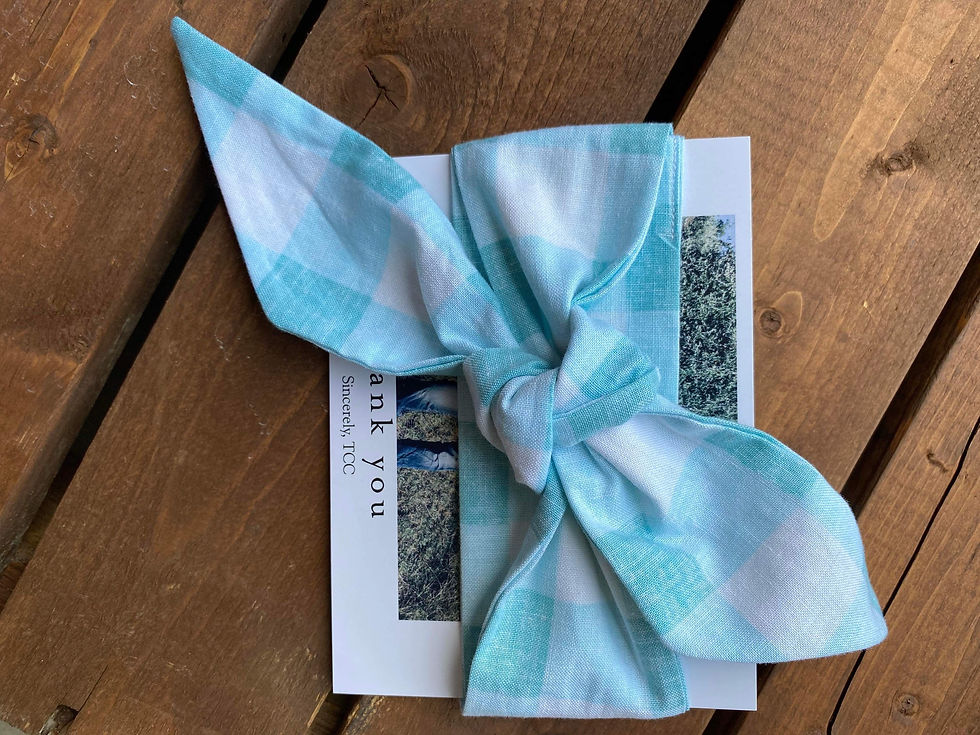 Teal Gingham Neck Tie