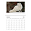 Thumbnail: 2026 Arctic Fox Calendar