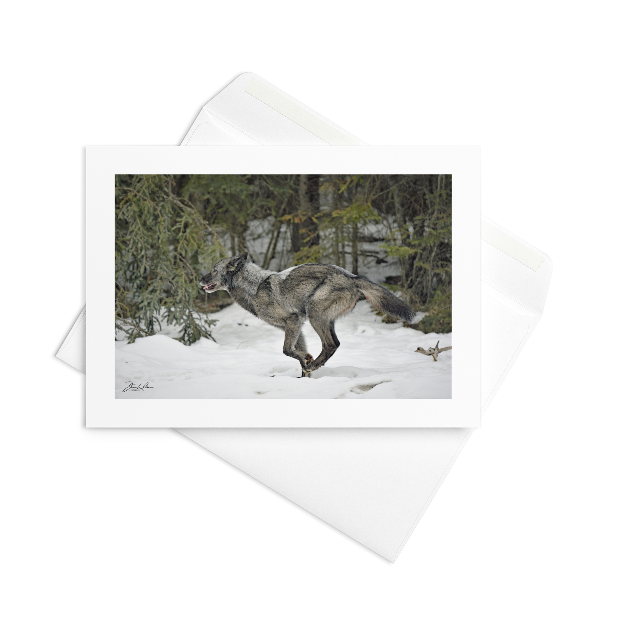 Wolf 03 | Greeting Card (Qty 10)