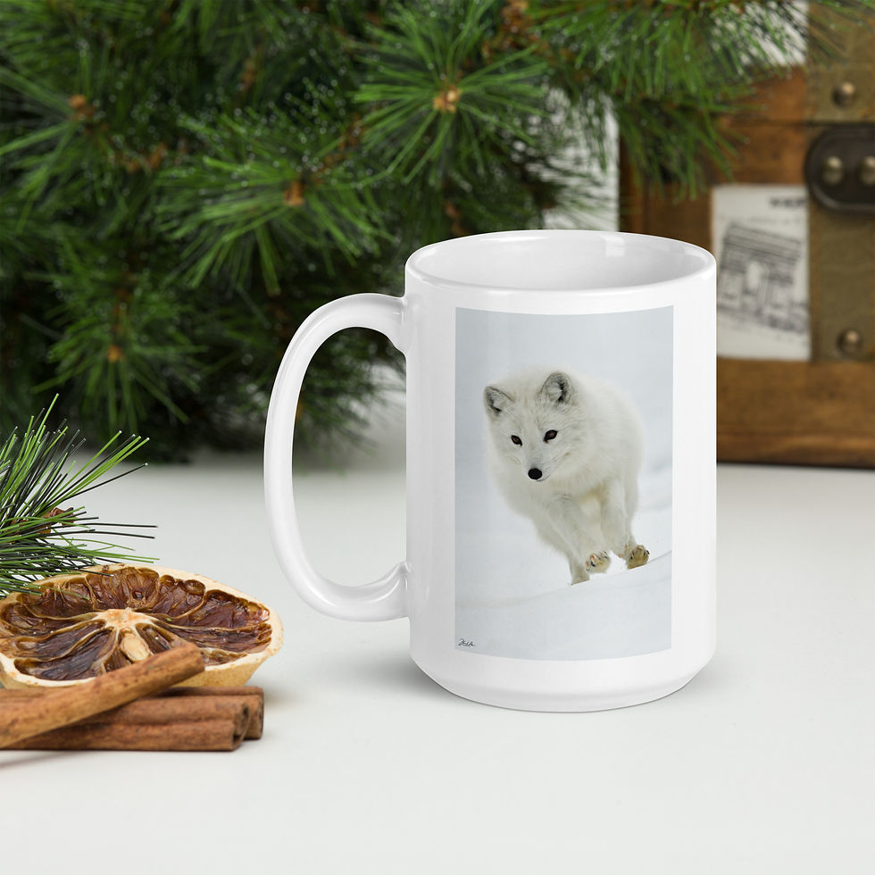 Thumbnail: Arctic Fox  13