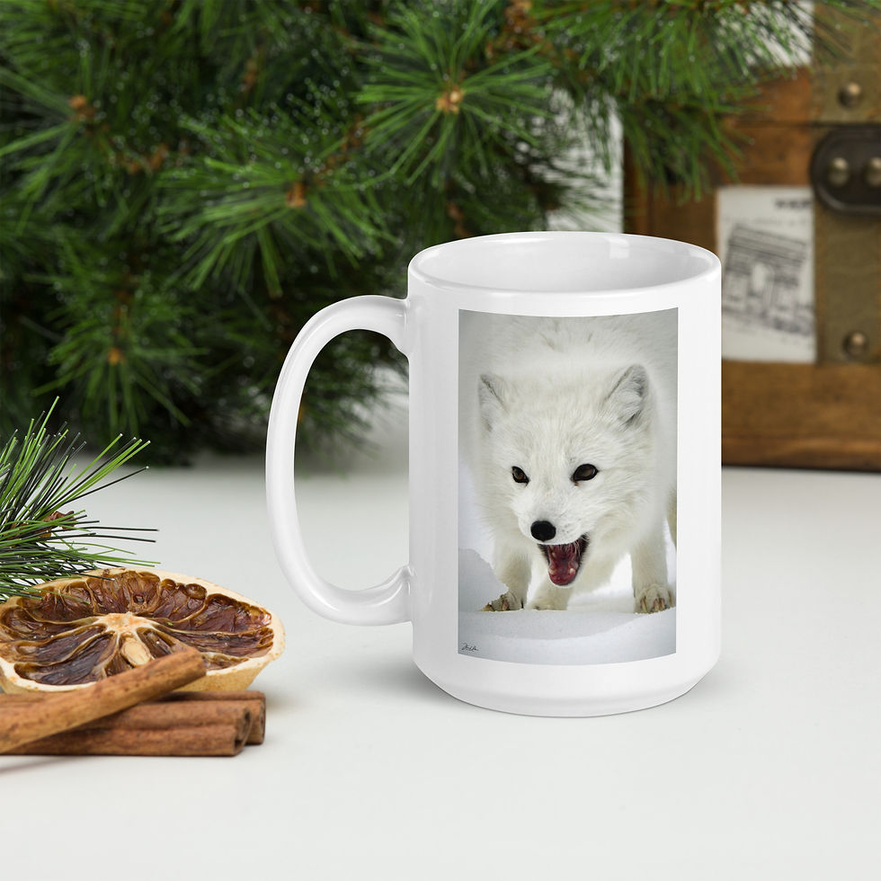 Thumbnail: Arctic Fox  12