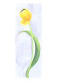 Note Card tulip.jpg