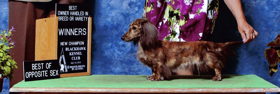 Lovely Lady Luna Von Wolff MLCB