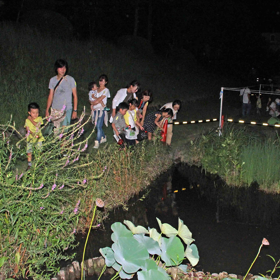 8月 夜のたんけん隊