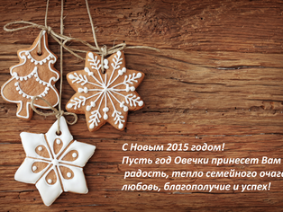 С Новым 2015 годом!