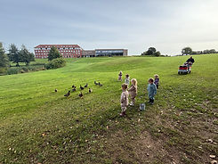 IMG_1250.jpeg