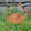 Thumbnail: Rusty Metal Crab