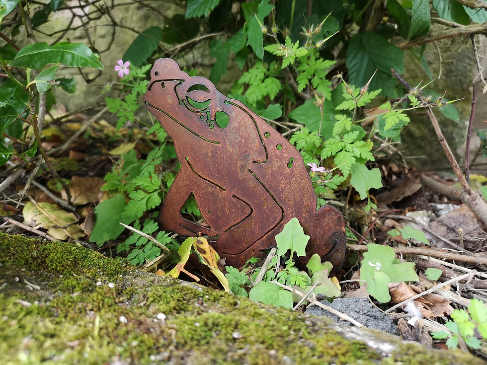 Thumbnail: Rusty Metal Toad