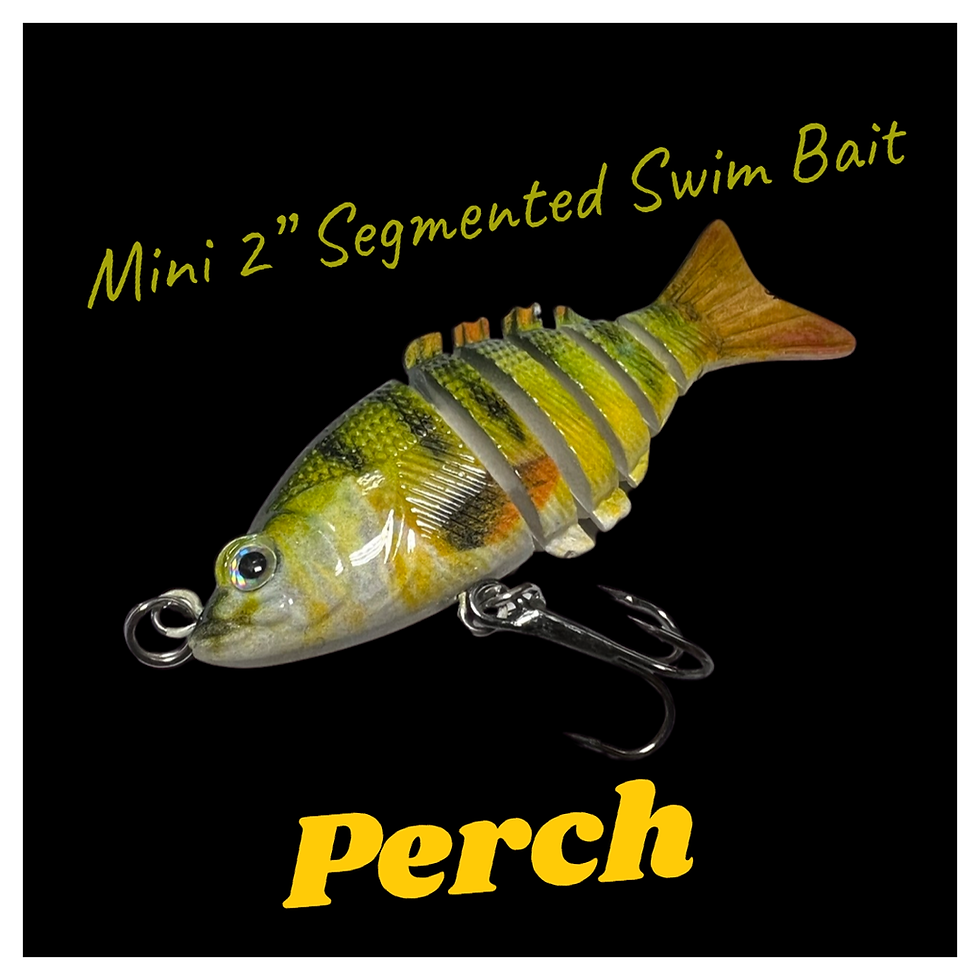 Thumbnail: Mini Crappie 2” Segmented Swim Bait’s