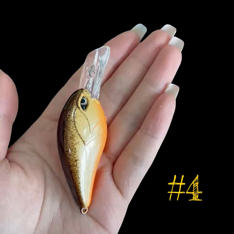 Thumbnail: BT8 & BT10 Square Bill Series 