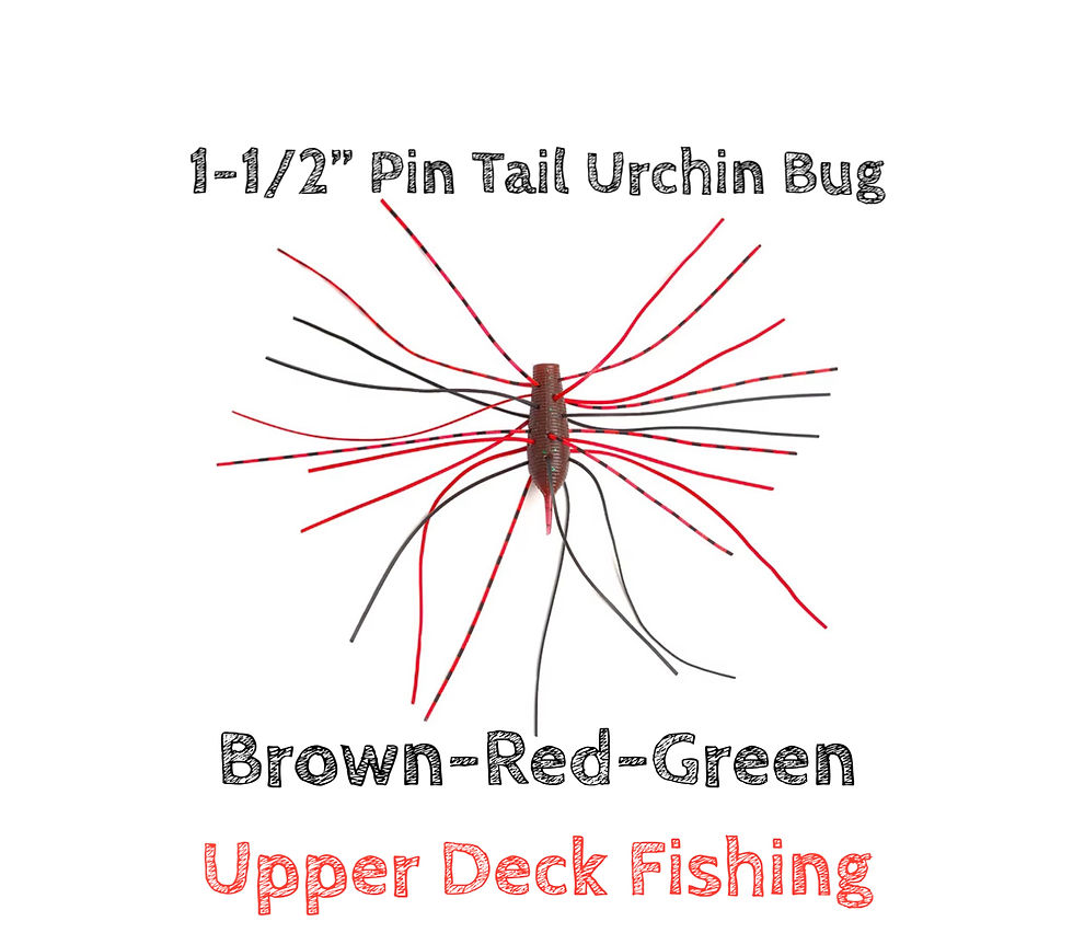 Thumbnail: 1-1/2” Pin Tail Urchin Pan Fish Bugs 3pk