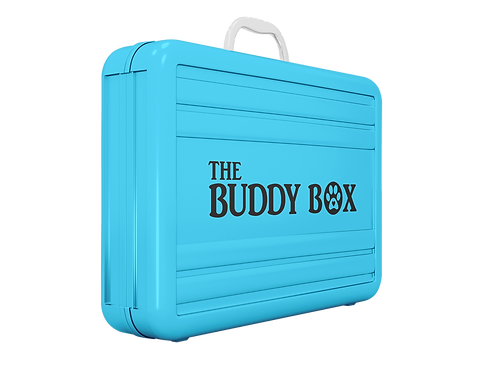A mockup of the outer case for The Buddy Box