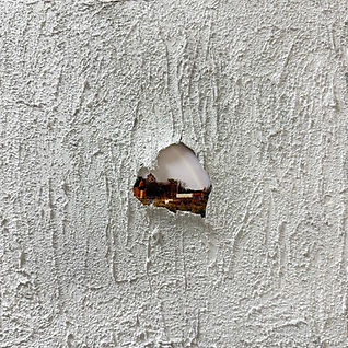 True Colors ジャケ.jpg