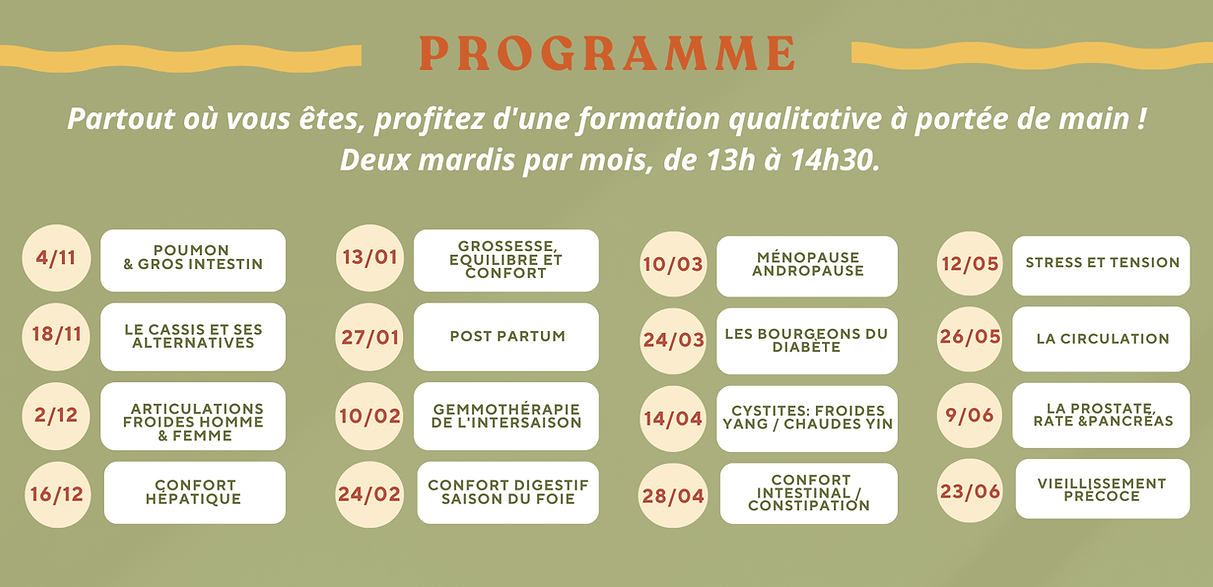 médecine chinoise et gemmothérapie