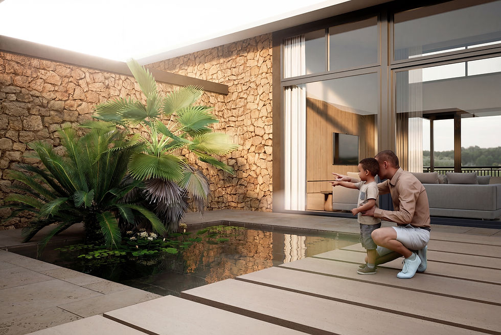 Courtyard Villa - Courtyard Render