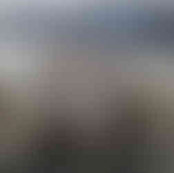 Japan campervan, Tokyo Campervan, Rent a campervan in Japan, Travel Japan by campervan, Road trip Japan, Campervan Japan, Camping in Japan, camping, Tokyo camper, Japan camper van, mini camper van , rental car Japan, Japan campers, Tokyo campers