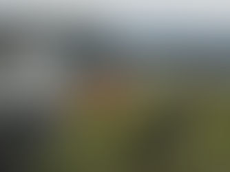 Customers' story: My First Japan Camping Experience with Roam & Roll Campervan