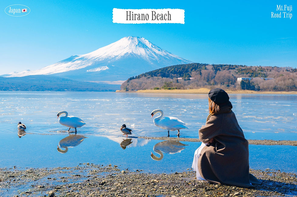 A person in a brown coat sits by a lake with swans and ducks. Mount Fuji is visible under a clear blue sky. Text reads "Hirano Beach." campervan japan