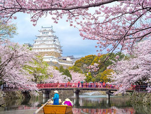 How to Plan a Sakura Trip in Japan: Timing, Routes, and Travel Tips