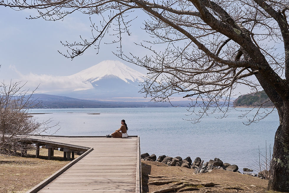 camper van in Japan, rental car , Japan campervan , campervan tokyo