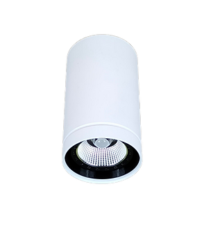 80 white downlight.png