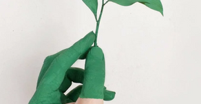 Inteligência Emocional e Gestão de Emoções: quase tudo o que precisas saber