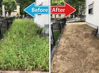 O除草 ビフォーアフター