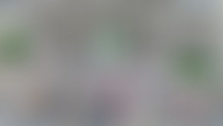 The Michigan Harvest Rally 2025