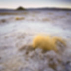 Cono de Arita, Tolar Grande