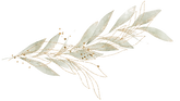 15_edited.png
