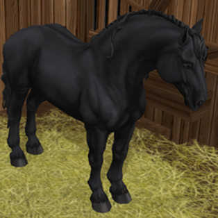 horse-4100412_1280.png