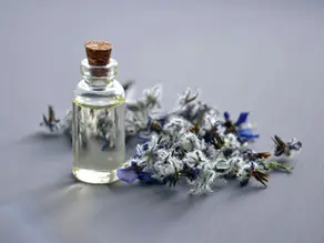 La Premiumisation du Parfum : L’Art de Sublimer l’Invisible