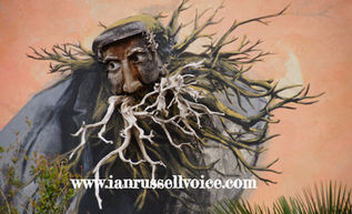 The voice of an old tree