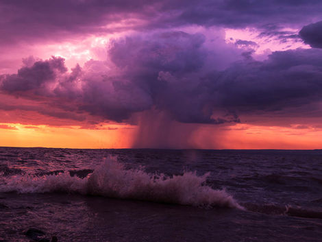 THE MALAVA TRAVELLERS 010