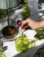 Hand placing purple tulip in green glass vase.
