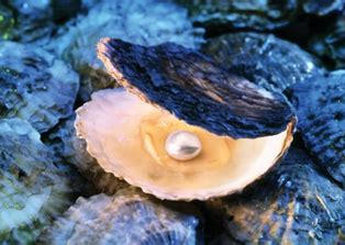 Christianity: A Pearl Worth Any Price?