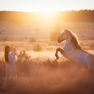 Hund und Pferd posiert bei einem Outdoor Tier Shooting in Berlin Brandenburg in der Kirschblüte, Mohnfeld, Sonnenblumen , Flieder und Mohn. Authentische Tier Fotografie voller Persönlichkeit. tiefe Verbindungen zwischen Mensch und Tier halte ich mit meiner Fotografie fest
