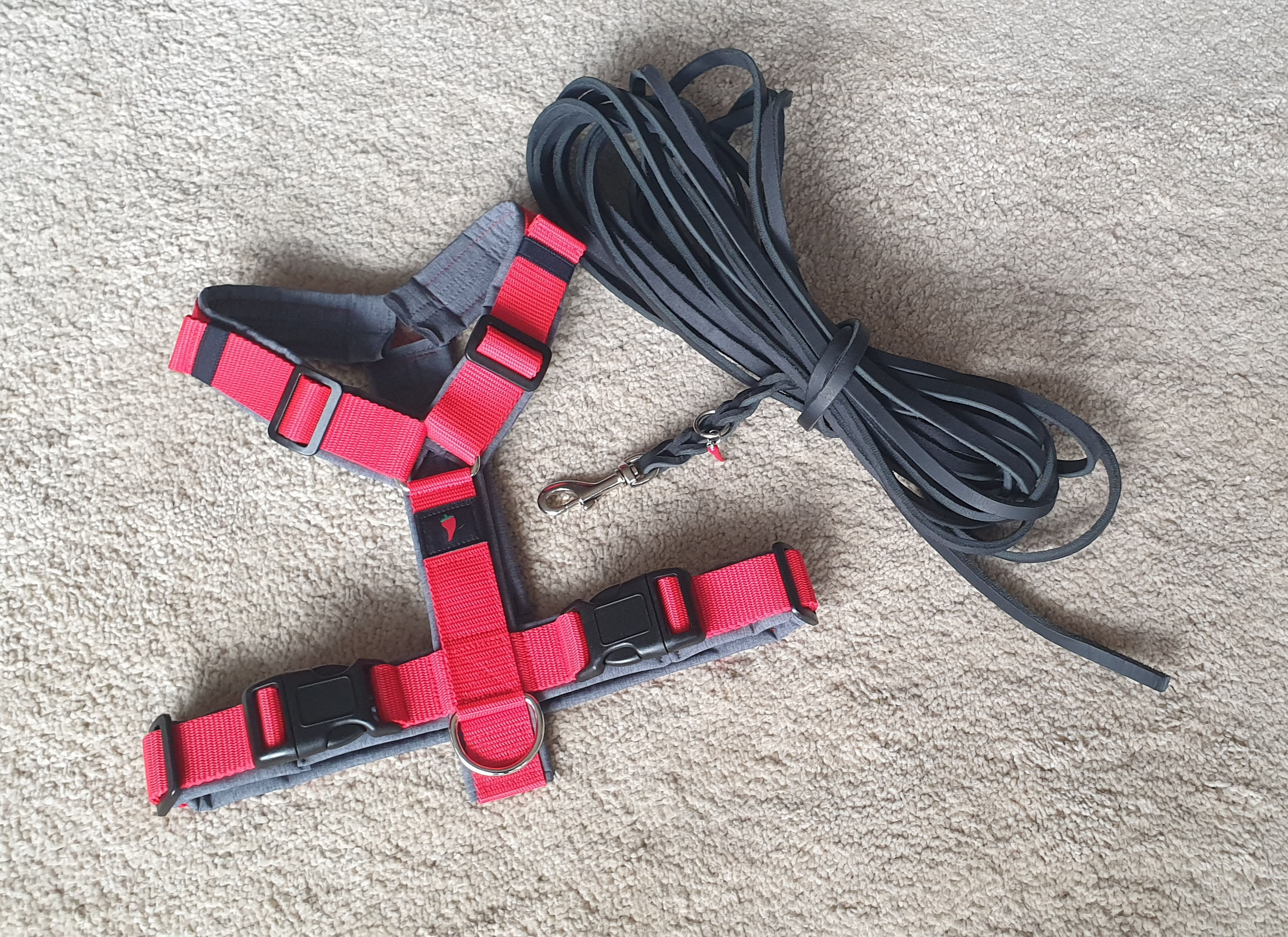 Paprika Y-Geschirr Gege