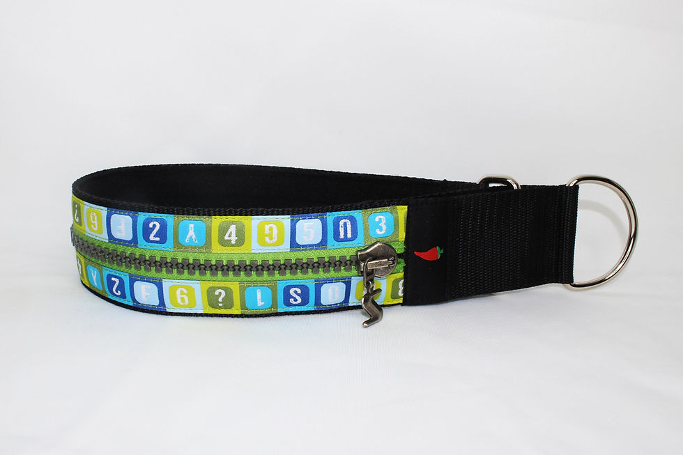 Miniaturbild: Paprika Zipp-Halsband Schule, blau grün