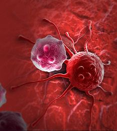 Screenshot 2020-10-12 at 09.40.58.png