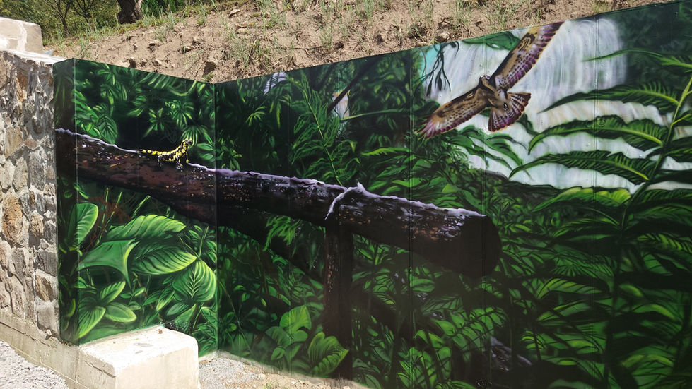 Jungle – spray-painted mural painting on a concrete wall in Svätý Anton, by Václav Šimko. Spray-painted mural painting Svätý Anton