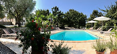 IMG_7571.jpeg