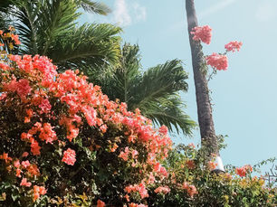 last minute mother's day gift guide <3