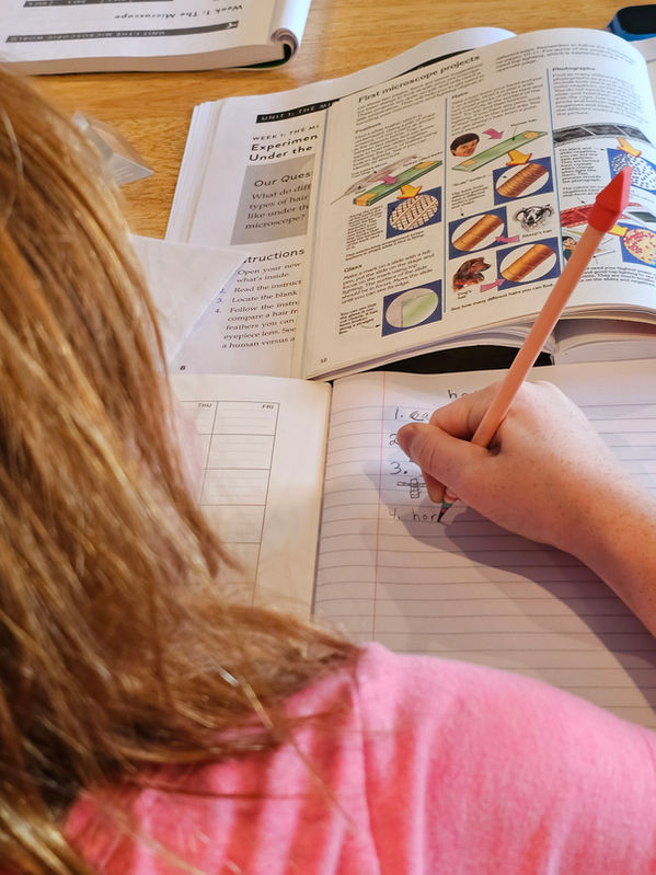 homeschool science curriculum
