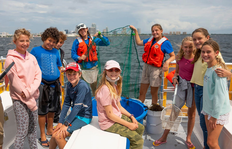 Tampa Bay Snorkel or Wildlife Boat Tours
